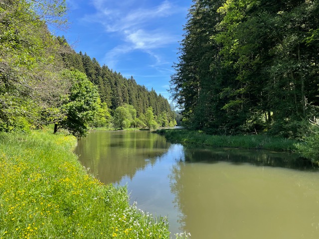 Süß- und Salzwasser Angelhaken Hai in Baden-Württemberg - Lorch